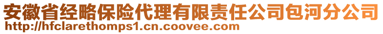 安徽省經(jīng)略保險(xiǎn)代理有限責(zé)任公司包河分公司