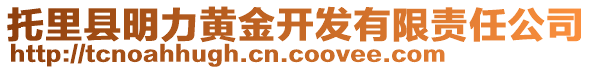 托里縣明力黃金開發(fā)有限責任公司