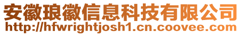 安徽瑯徽信息科技有限公司