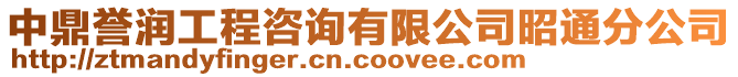 中鼎譽潤工程咨詢有限公司昭通分公司