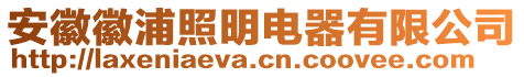 安徽徽浦照明電器有限公司