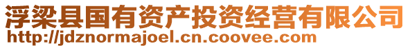 浮梁县国有资产投资经营有限公司