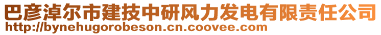 巴彥淖爾市建技中研風力發電有限責任公司