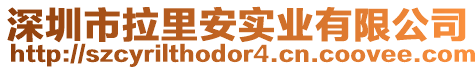 深圳市拉里安實業有限公司