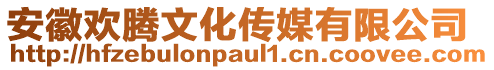 安徽歡騰文化傳媒有限公司