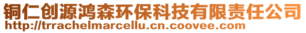 銅仁創(chuàng)源鴻森環(huán)?？萍加邢挢?zé)任公司