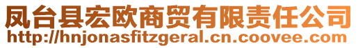 鳳臺縣宏歐商貿有限責任公司