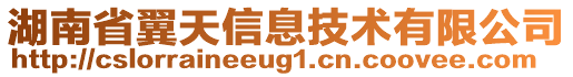 湖南省翼天信息技術有限公司