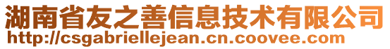 湖南省友之善信息技術有限公司