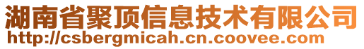 湖南省聚頂信息技術(shù)有限公司