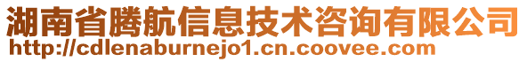 湖南省騰航信息技術(shù)咨詢有限公司