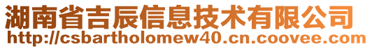 湖南省吉辰信息技術有限公司