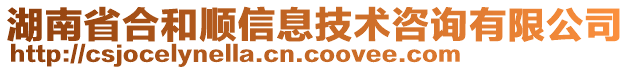 湖南省合和順信息技術咨詢有限公司