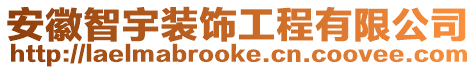 安徽智宇裝飾工程有限公司