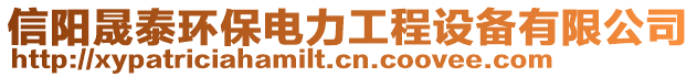 信陽晟泰環(huán)保電力工程設(shè)備有限公司