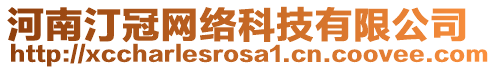 河南汀冠網(wǎng)絡(luò)科技有限公司