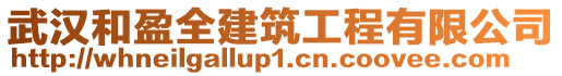 武漢和盈全建筑工程有限公司