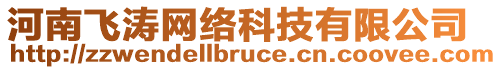 河南飛濤網(wǎng)絡(luò)科技有限公司