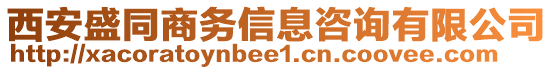 西安盛同商務(wù)信息咨詢有限公司