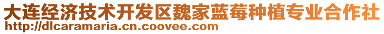 大連經(jīng)濟(jì)技術(shù)開(kāi)發(fā)區(qū)魏家藍(lán)莓種植專(zhuān)業(yè)合作社