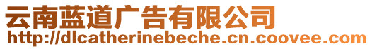 云南藍(lán)道廣告有限公司