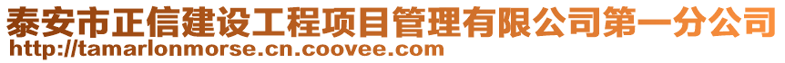 泰安市正信建設(shè)工程項目管理有限公司第一分公司