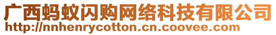 廣西螞蟻閃購(gòu)網(wǎng)絡(luò)科技有限公司