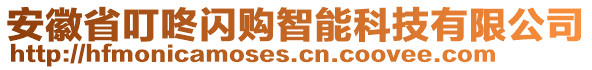 安徽省叮咚閃購智能科技有限公司