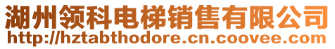 湖州領(lǐng)科電梯銷售有限公司