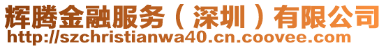 輝騰金融服務(wù)（深圳）有限公司