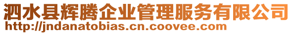 泗水縣輝騰企業(yè)管理服務有限公司