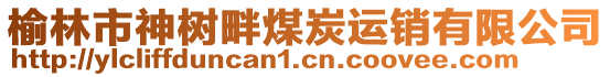 榆林市神樹畔煤炭運(yùn)銷有限公司