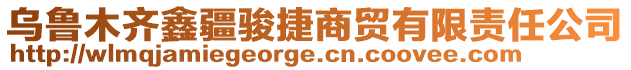 烏魯木齊鑫疆駿捷商貿(mào)有限責(zé)任公司