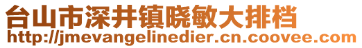 臺(tái)山市深井鎮(zhèn)曉敏大排檔