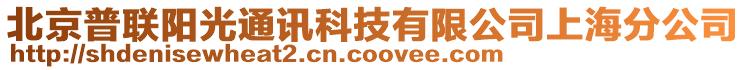 北京普聯(lián)陽光通訊科技有限公司上海分公司