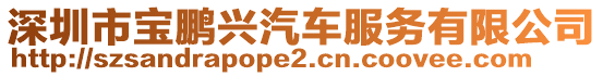 深圳市寶鵬興汽車服務(wù)有限公司