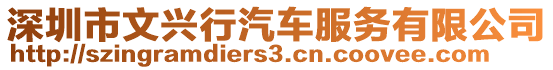 深圳市文興行汽車服務(wù)有限公司