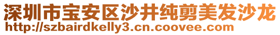 深圳市寶安區(qū)沙井純剪美發(fā)沙龍