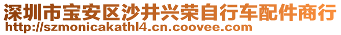 深圳市寶安區沙井興榮自行車配件商行