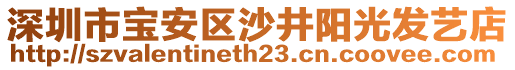 深圳市寶安區(qū)沙井陽光發(fā)藝店