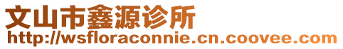 文山市鑫源診所