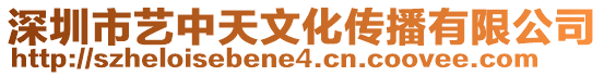 深圳市藝中天文化傳播有限公司
