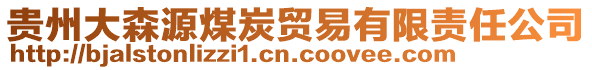 貴州大森源煤炭貿(mào)易有限責(zé)任公司