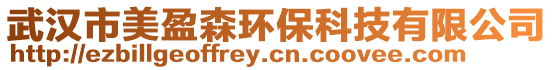 武漢市美盈森環保科技有限公司