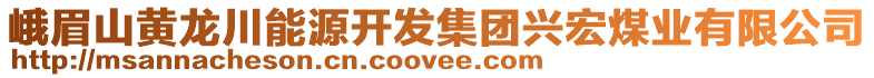 峨眉山黃龍川能源開(kāi)發(fā)集團(tuán)興宏煤業(yè)有限公司