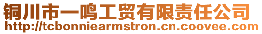 銅川市一鳴工貿有限責任公司