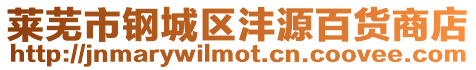 萊蕪市鋼城區灃源百貨商店