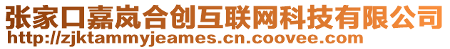 張家口嘉嵐合創互聯網科技有限公司