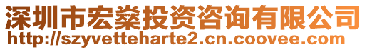 深圳市宏燊投資咨詢有限公司