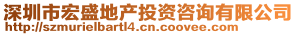 深圳市宏盛地產(chǎn)投資咨詢有限公司